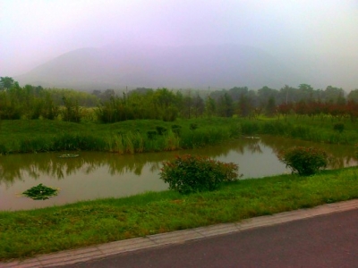 20100627_135.JPG