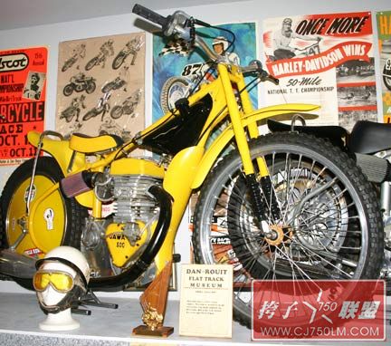 057YellowJawa_8379.jpg