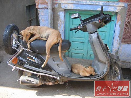 Sleeping-on-a-Motorcycle-21.jpg