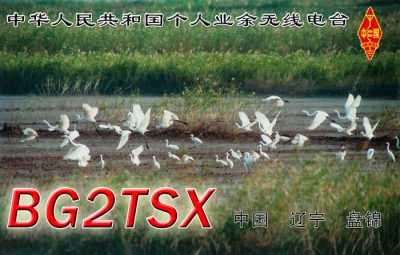 BG2TSX 2.jpg